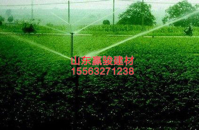 园林绿化管